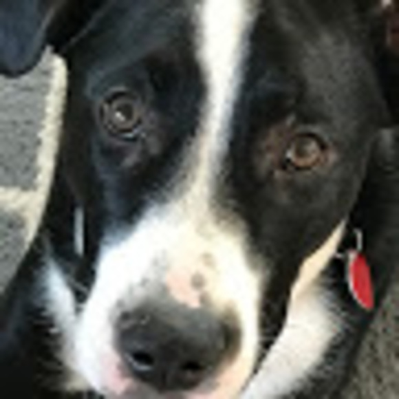 Meet your Posher, Emily - Picture 1 of 1